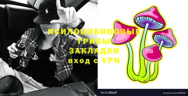 спиды Осташков