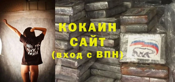 СК Осинники