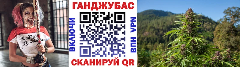 Купить закладки  Краснознаменск  Бошки Шишки гибрид 